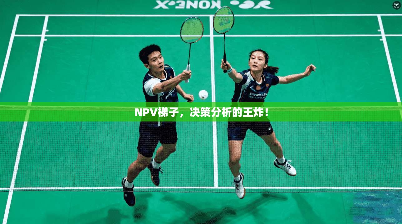 NPV梯子，决策分析的王炸！  第1张