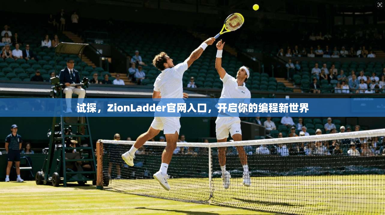 试探，ZionLadder官网入口，开启你的编程新世界  第1张