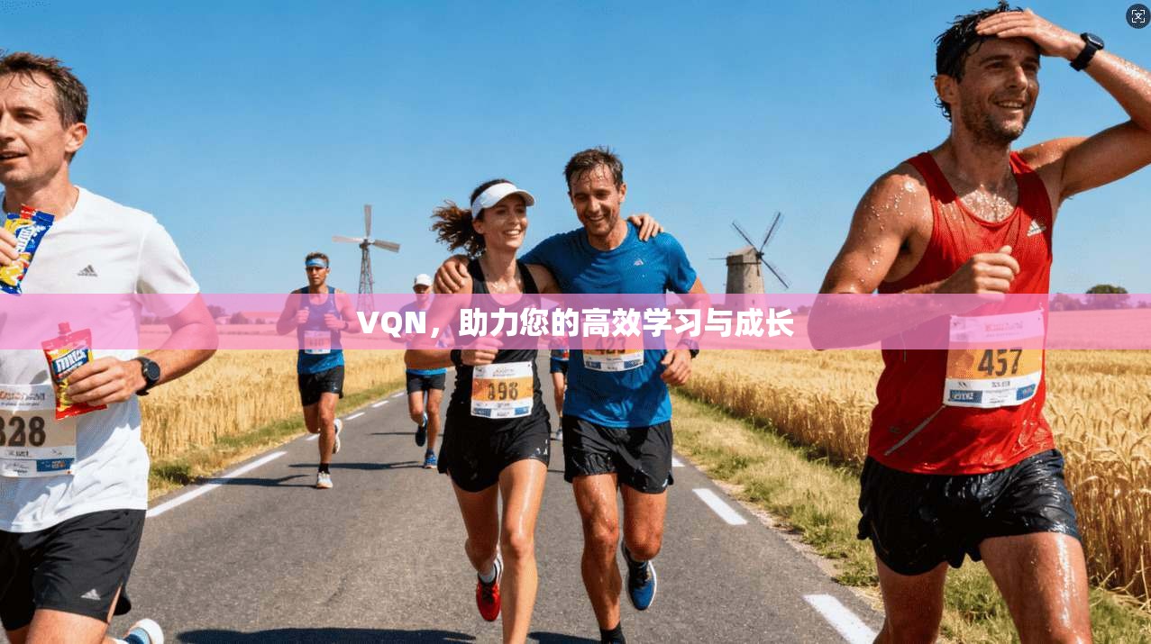 VQN，助力您的高效学习与成长  第1张