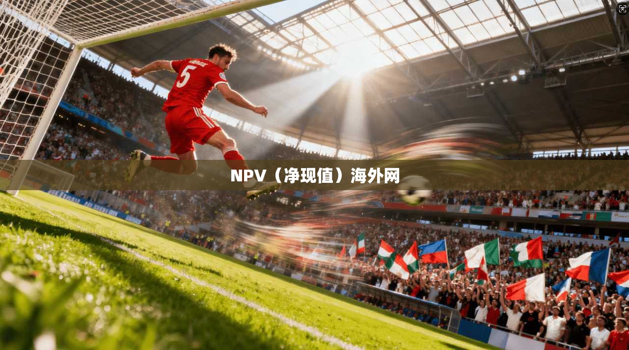 NPV（净现值）海外网  第1张