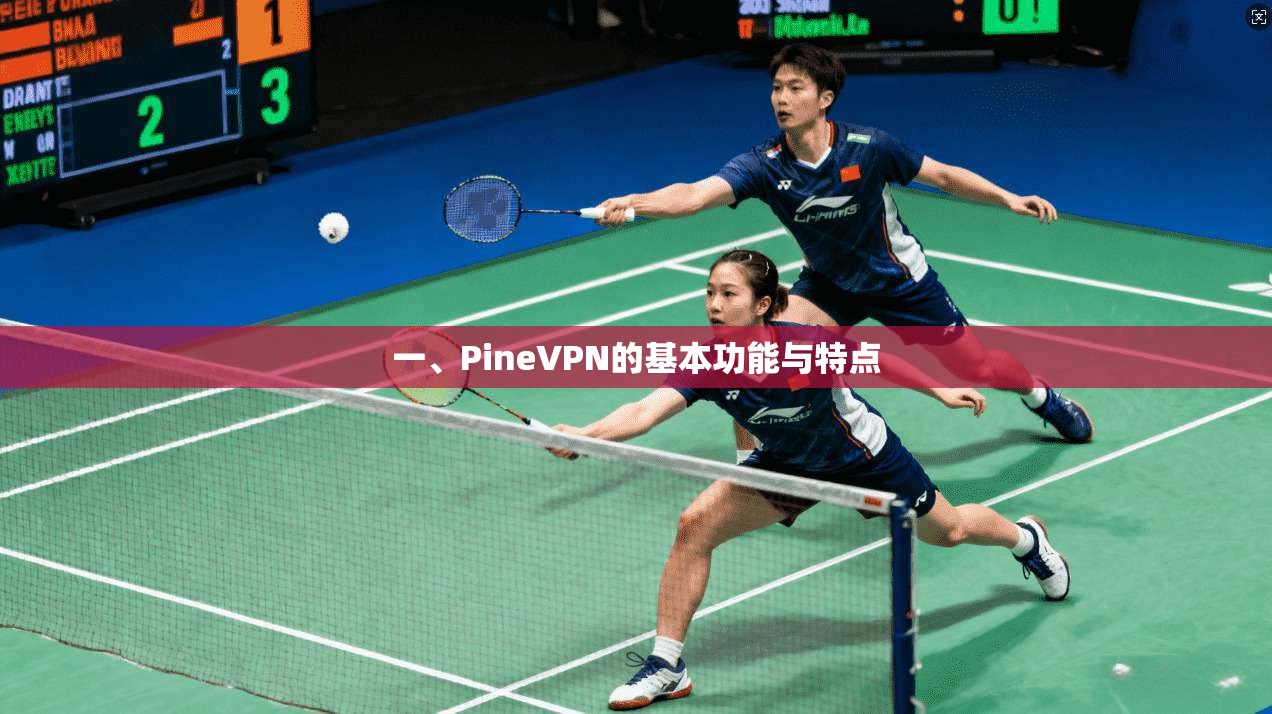 一、PineVPN的基本功能与特点 第1张 一、PineVPN的基本功能与特点 第1张