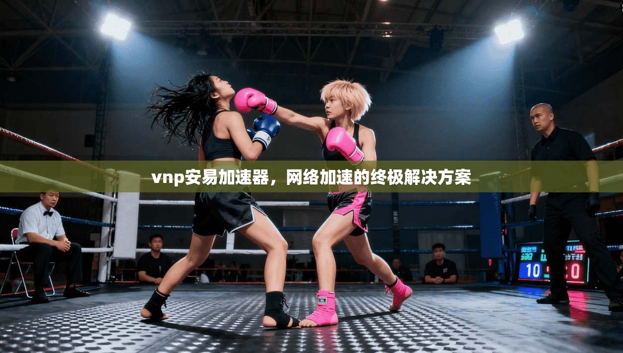 vnp安易加速器，网络加速的终极解决方案  第1张