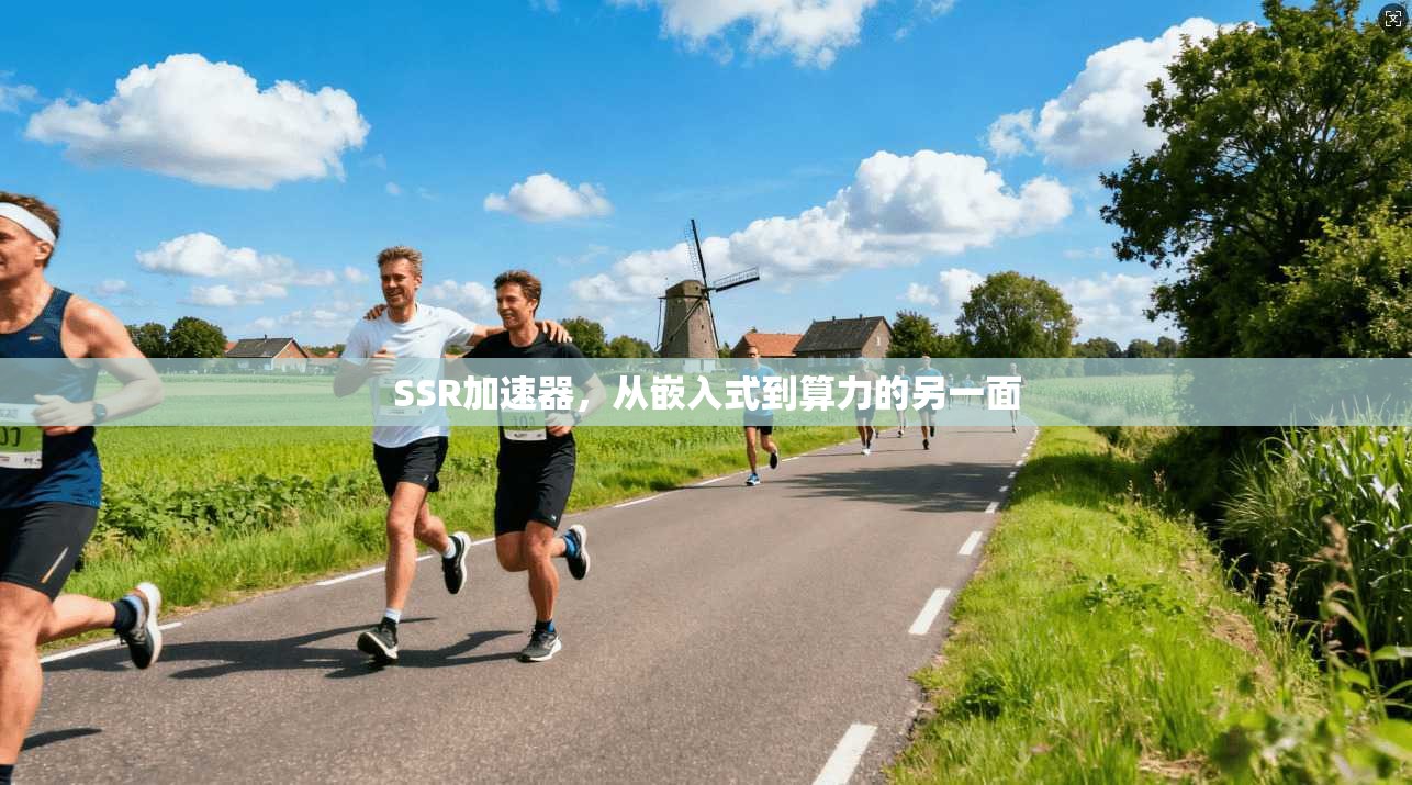 SSR加速器,从嵌入式到算力的另一面 第1张 SSR加速器,从嵌入式到算力的另一面 第1张