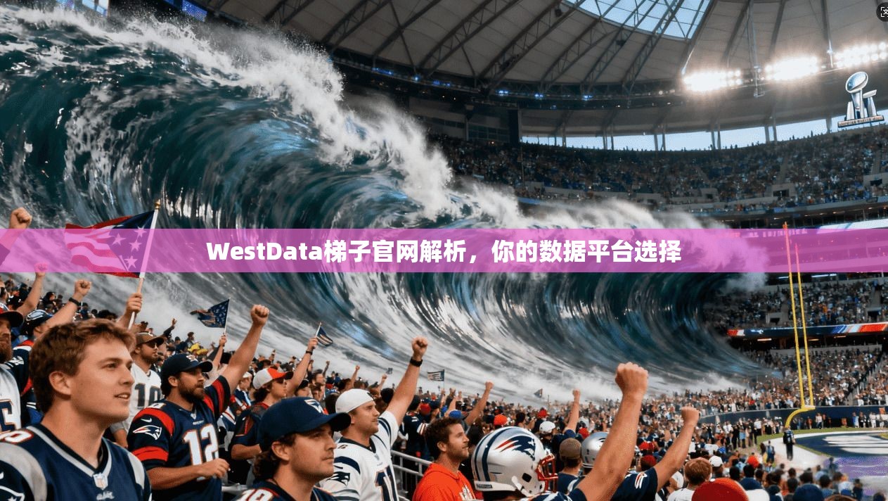 WestData梯子官网解析,你的数据平台选择 第1张 WestData梯子官网解析,你的数据平台选择 第1张