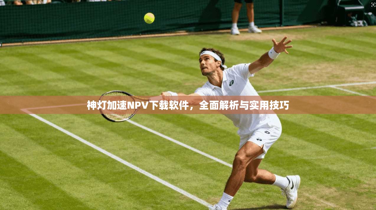 神灯加速NPV下载软件,全面解析与实用技巧 第1张 神灯加速NPV下载软件,全面解析与实用技巧 第1张