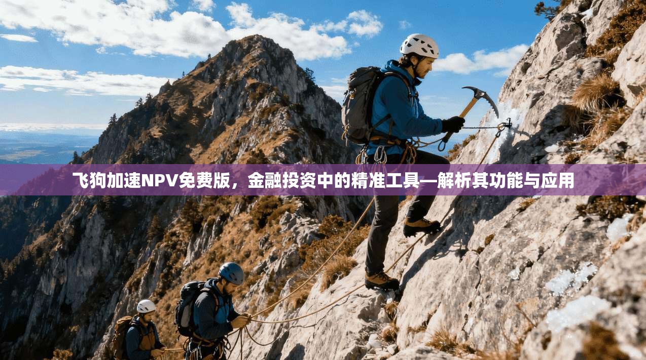 飞狗加速NPV免费版，金融投资中的精准工具—解析其功能与应用  第1张