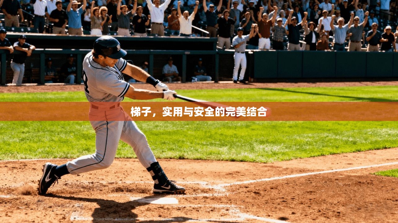 梯子，实用与安全的完美结合  第1张