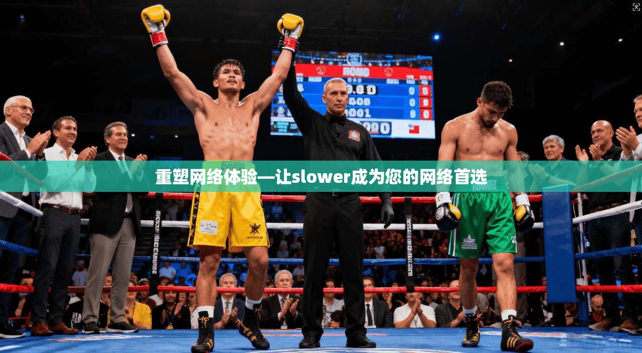 重塑网络体验—让slower成为您的网络首选  第1张