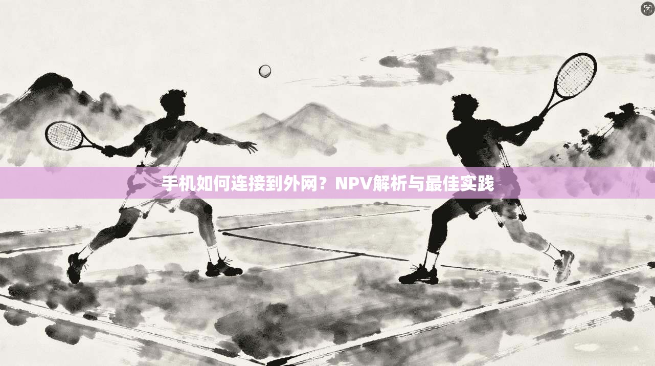 手机如何连接到外网？NPV解析与最佳实践  第1张