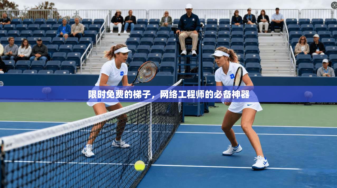 限时免费的梯子，网络工程师的必备神器  第1张