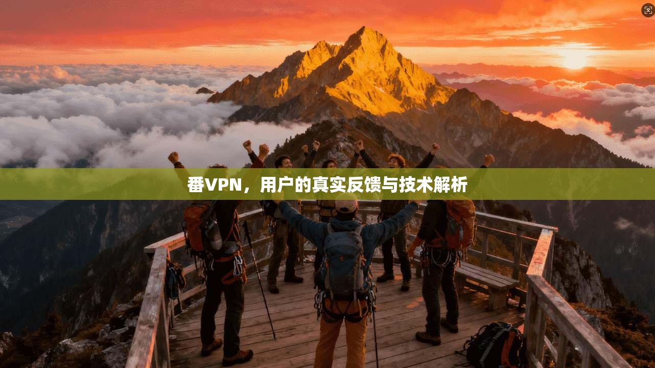 番VPN，用户的真实反馈与技术解析  第1张