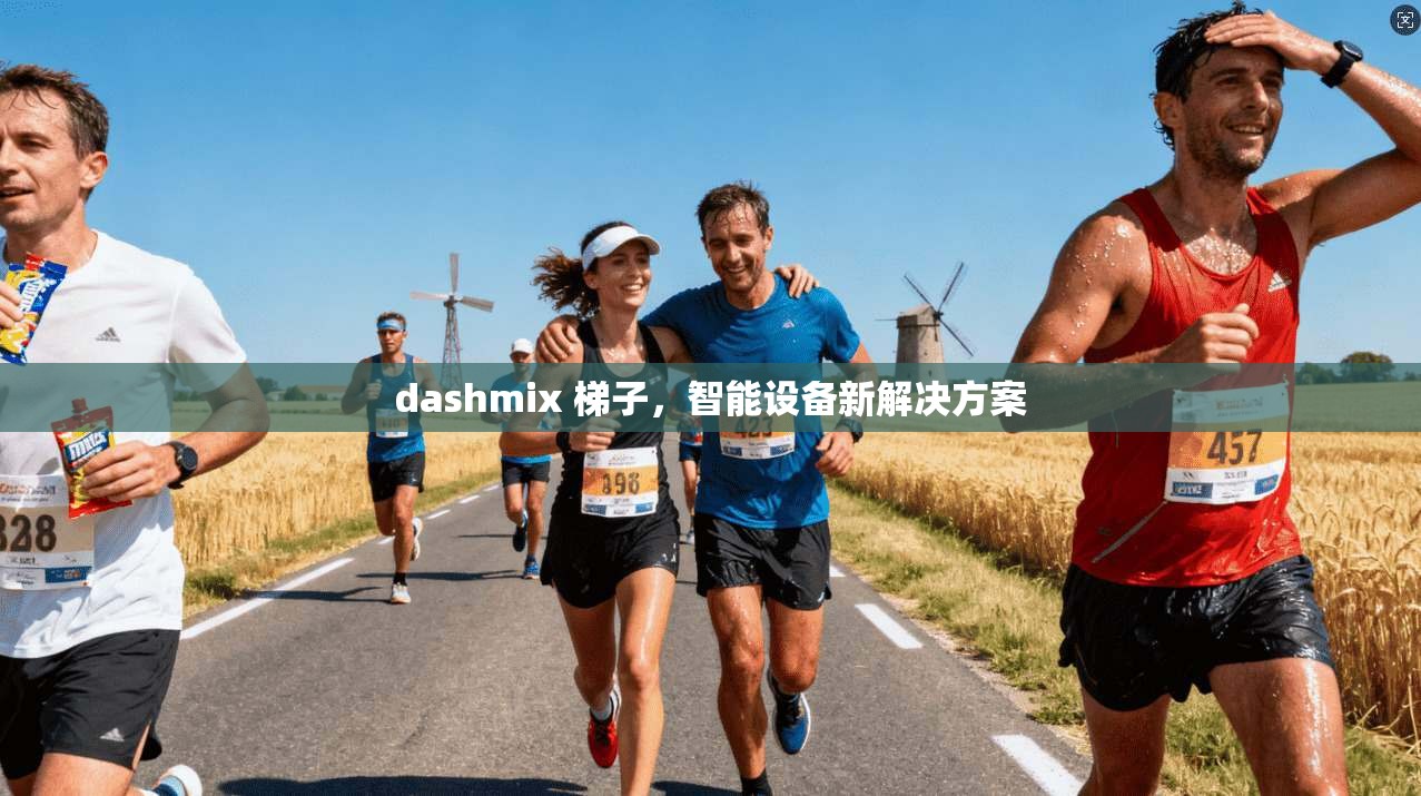 dashmix 梯子，智能设备新解决方案  第1张