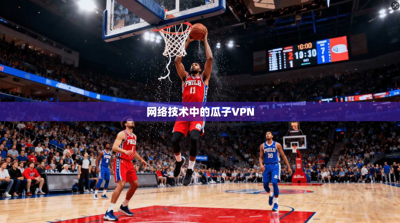 网络技术中的瓜子VPN 第1张 网络技术中的瓜子VPN 第1张