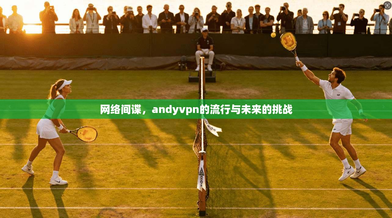 网络间谍,andyvpn的流行与未来的挑战 第1张 网络间谍,andyvpn的流行与未来的挑战 第1张