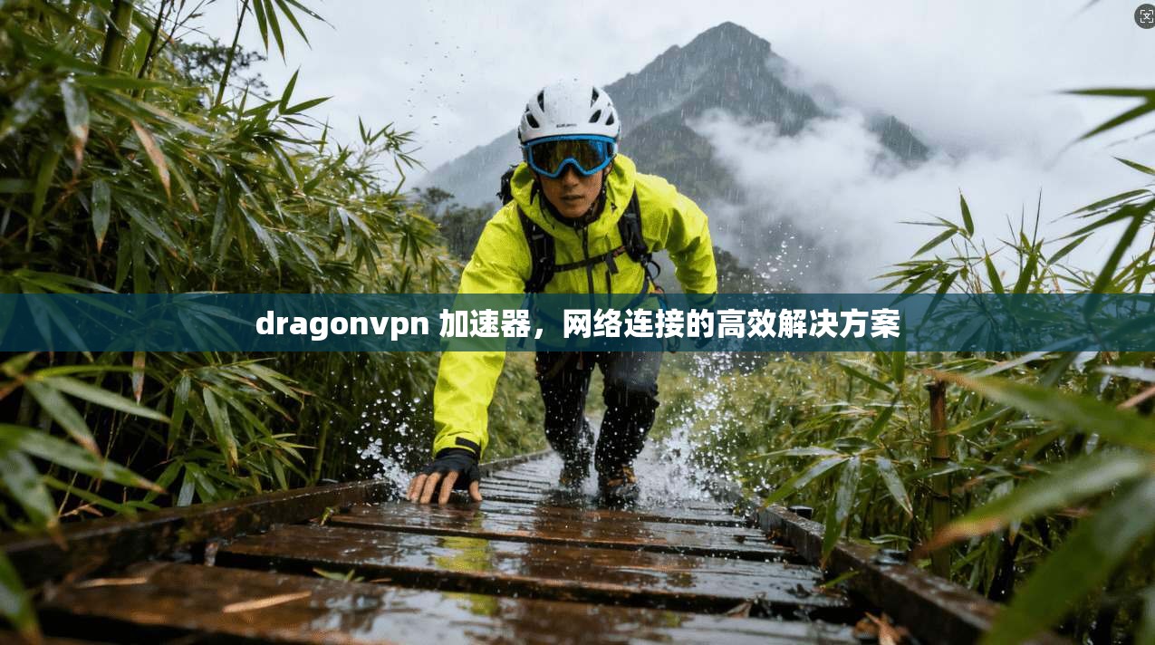 dragonvpn 加速器,网络连接的高效解决方案 第1张 dragonvpn 加速器,网络连接的高效解决方案 第1张
