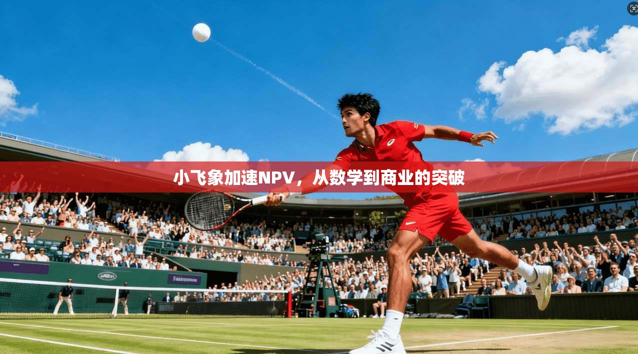 小飞象加速NPV，从数学到商业的突破  第1张