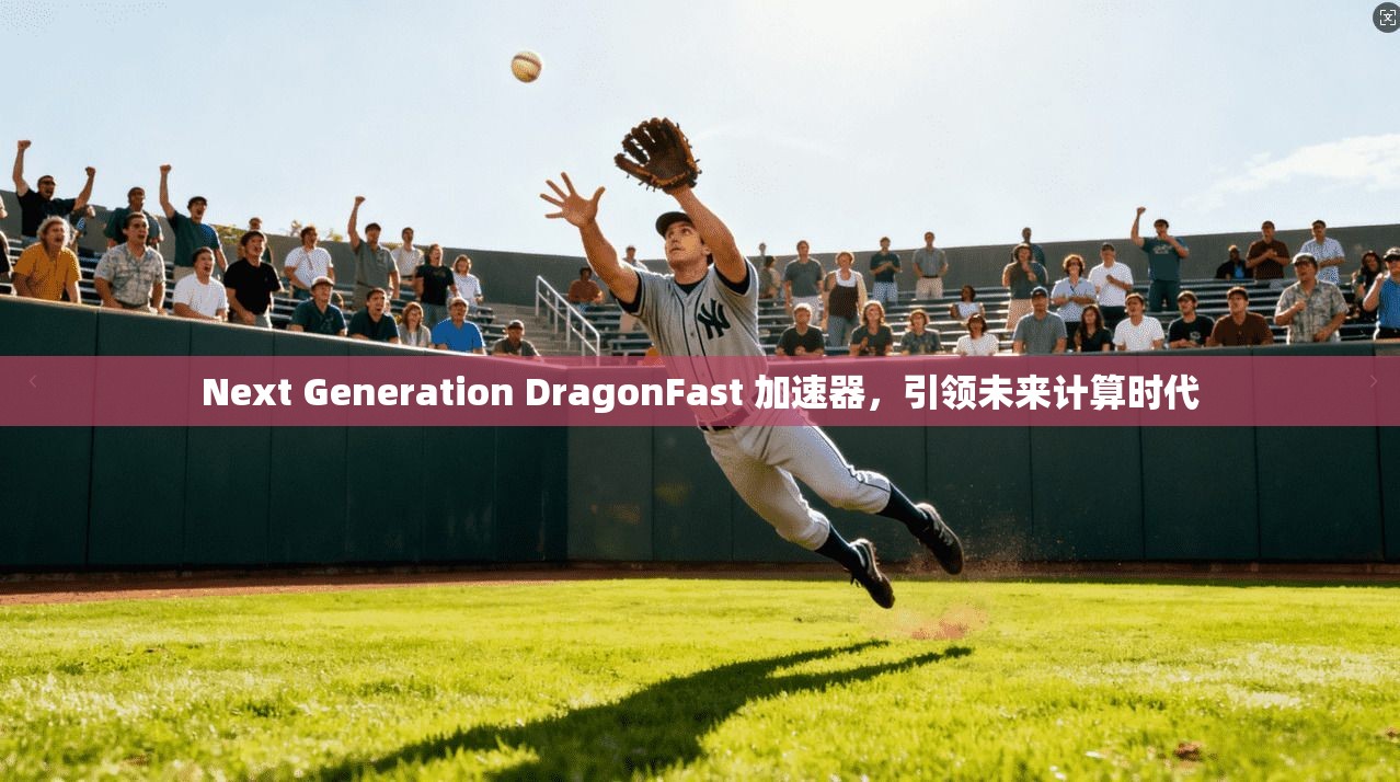 Next Generation DragonFast 加速器,引领未来计算时代 第1张 Next Generation DragonFast 加速器,引领未来计算时代 第1张