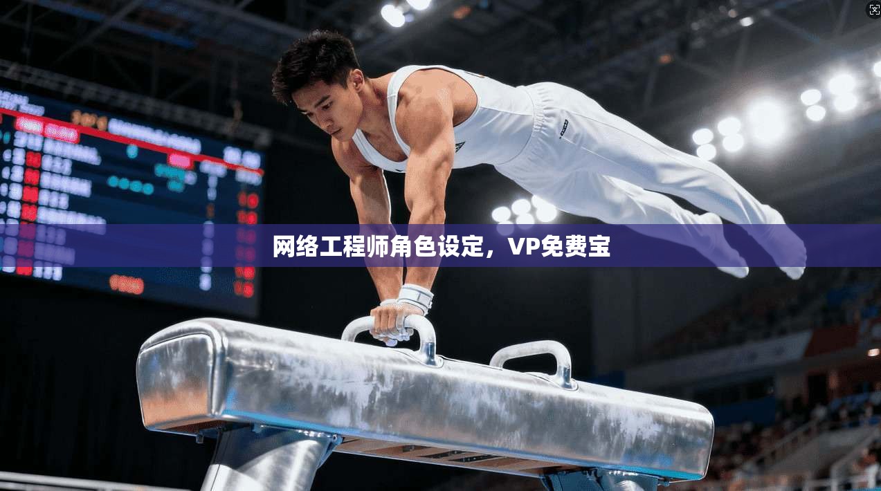 网络工程师角色设定,VP免费宝 第1张 网络工程师角色设定,VP免费宝 第1张