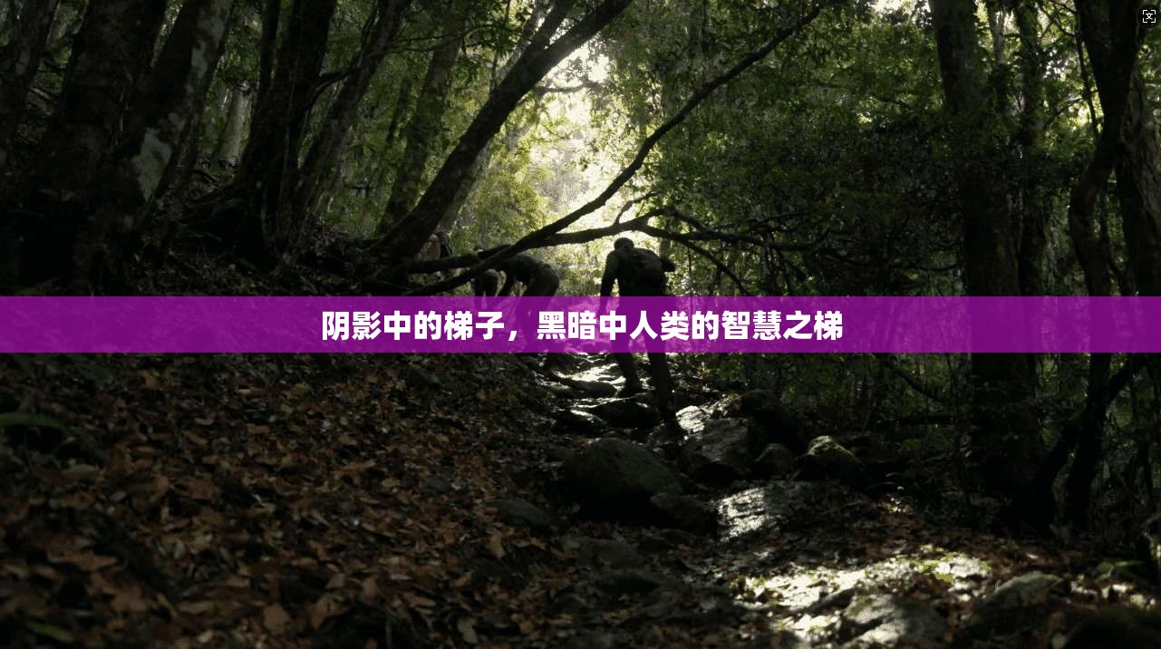阴影中的梯子,黑暗中人类的智慧之梯 第1张 阴影中的梯子,黑暗中人类的智慧之梯 第1张