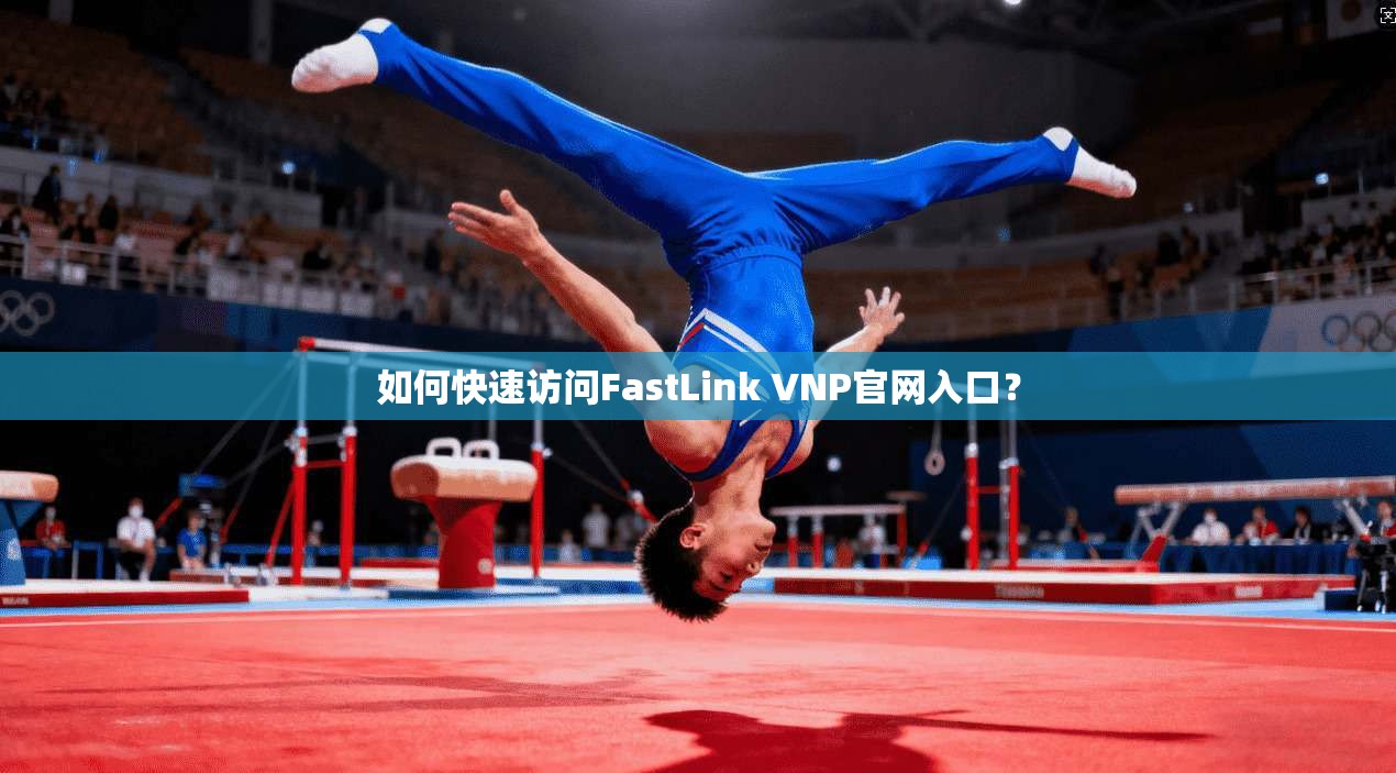 如何快速访问FastLink VNP官网入口？  第1张
