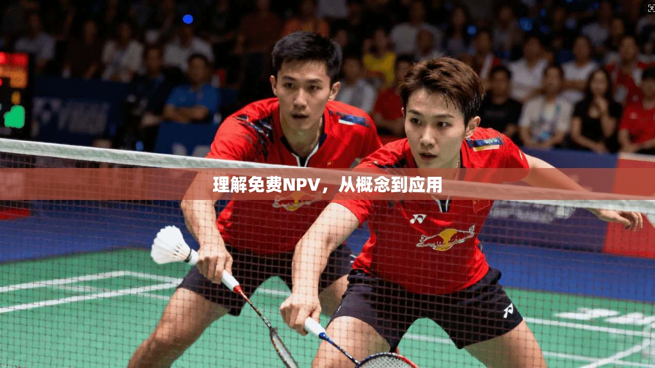 理解免费NPV，从概念到应用  第1张