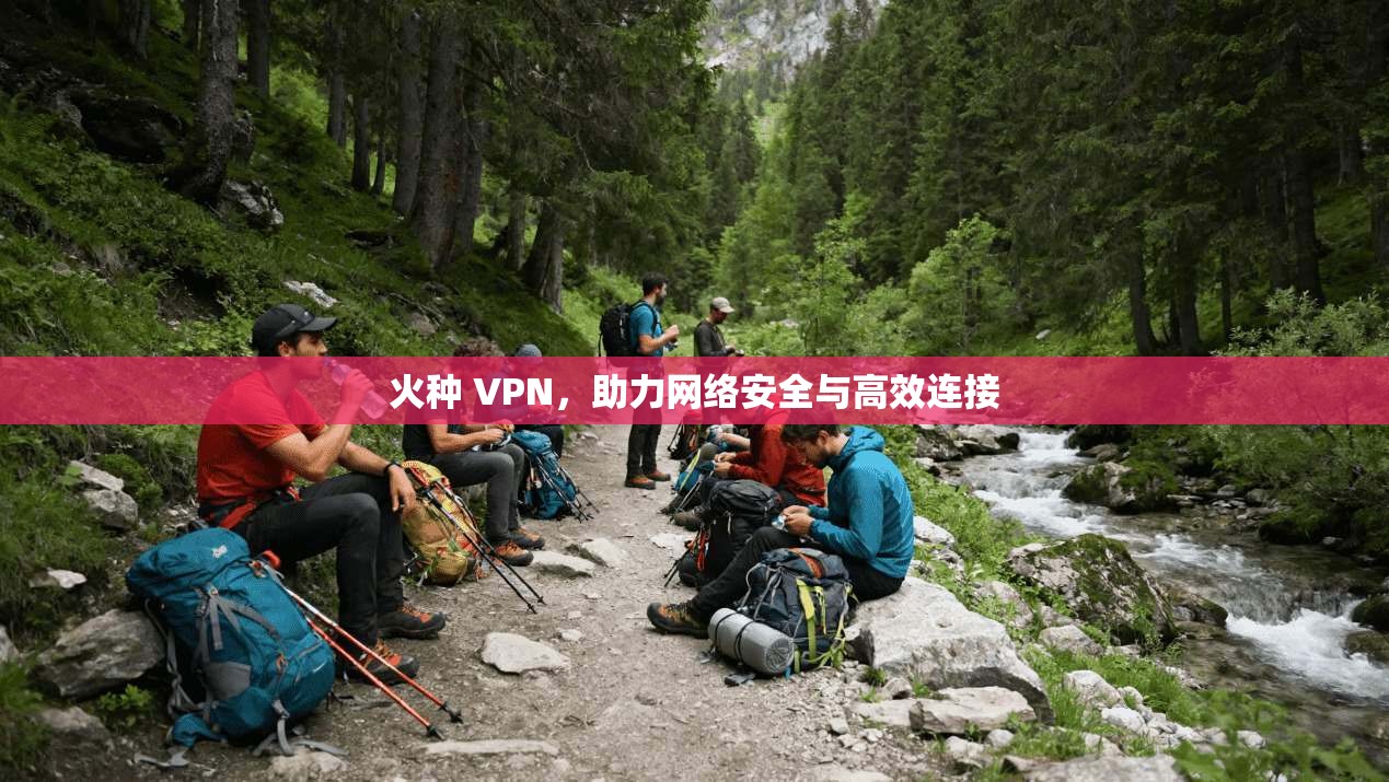 火种 VPN，助力网络安全与高效连接  第1张