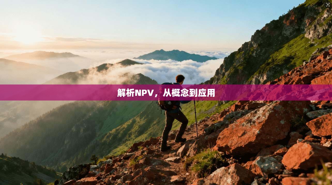 解析NPV，从概念到应用  第1张